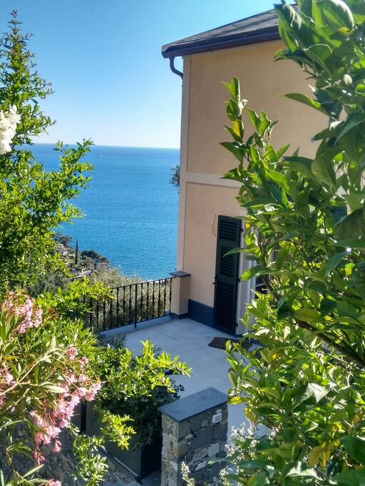 The terrace on the back