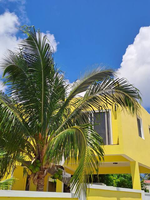 "The Coconut" fully equipped Studio Apartment.