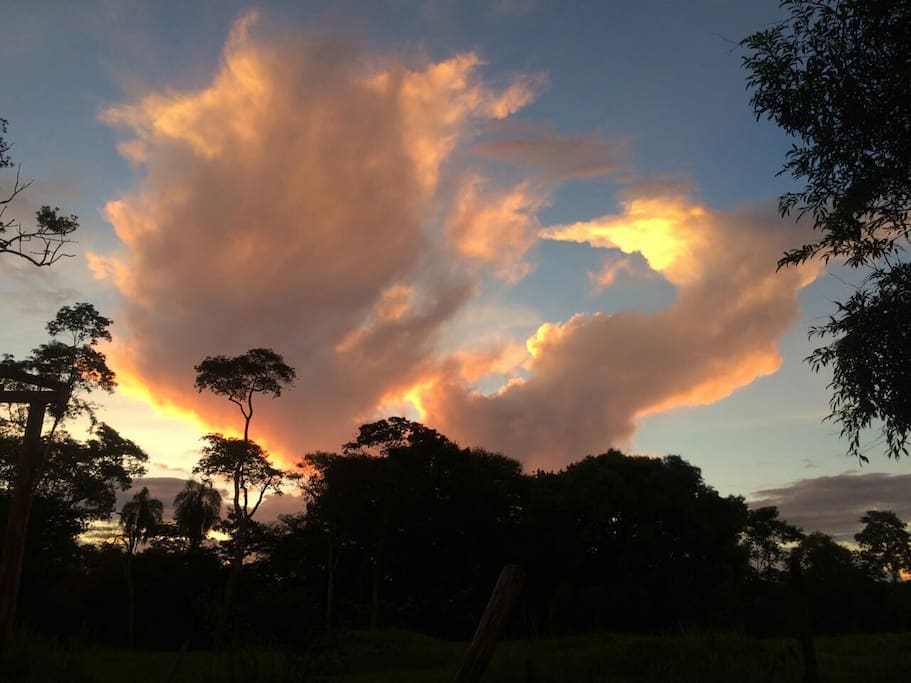 Atardeceres en Nativa