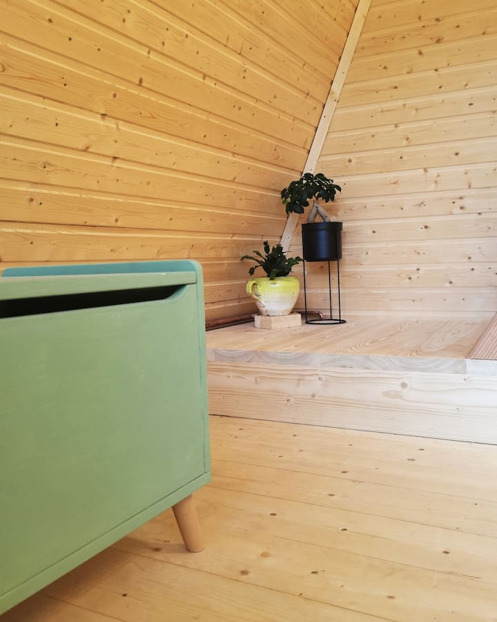 A-frame In Apuseni. Cabana De La Munte. - Romania