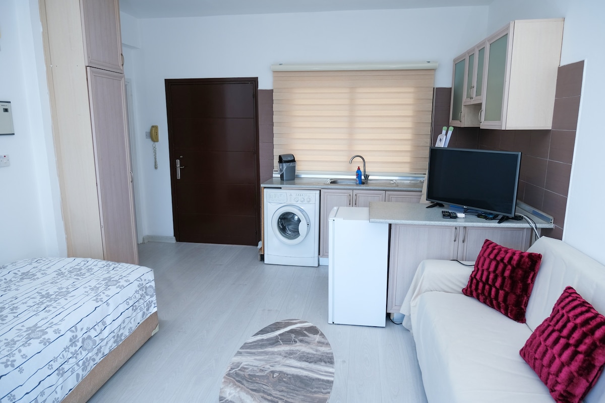 An open living space is shown, featuring a cozy sofa with decorative cushions and a round rug. A compact kitchen area contains a television, a refrigerator, and a washing machine. Natural light filters through the window, providing a bright atmosphere.