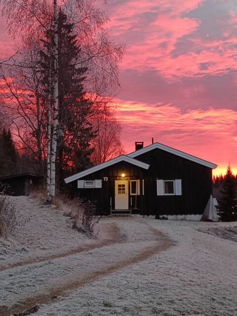 Cabin with proximity to town and mountains!