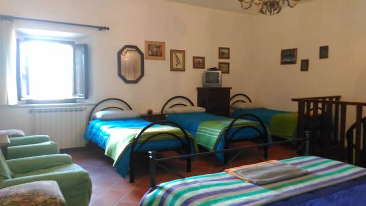 APLICACIÓN MANSARDA. PADRONALE