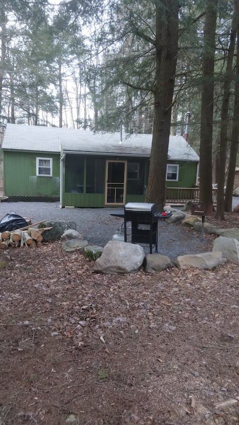Cozy Cabin in The Woods