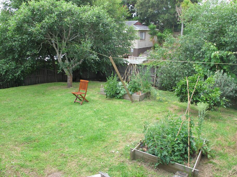 Back Garden