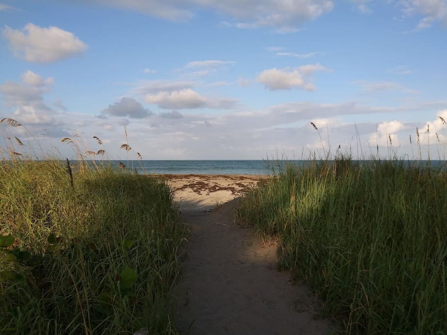 Steps to Ocean Paradise