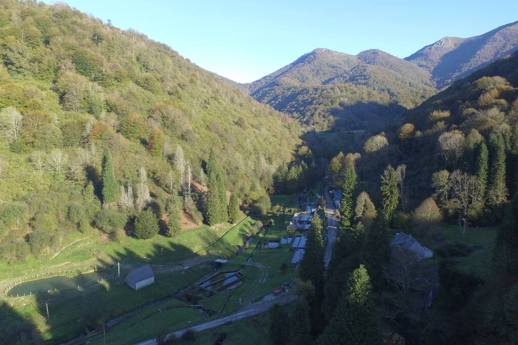 The valley