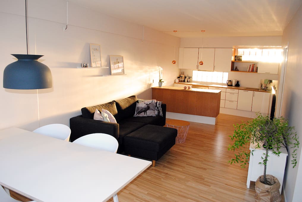 Living room and Kitchen