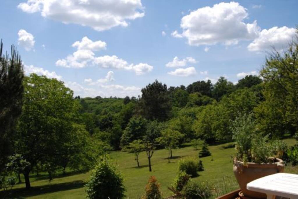 Le jardin