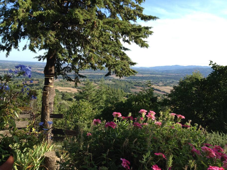 Ausblick Garten