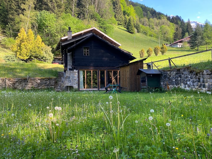 Switzerland Chalet Rentals | Airbnb