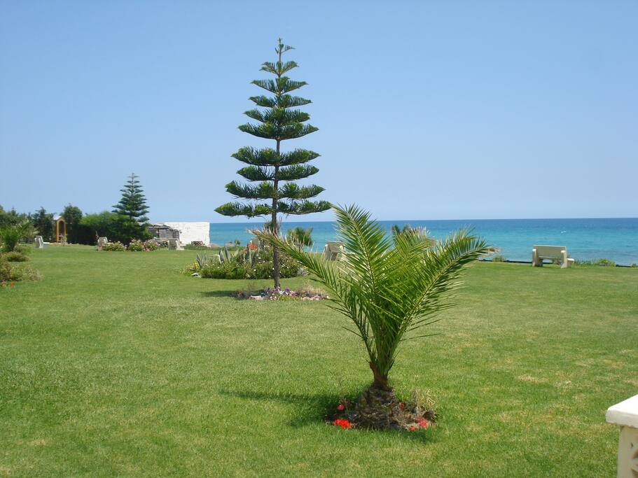 Jardin sur mer
