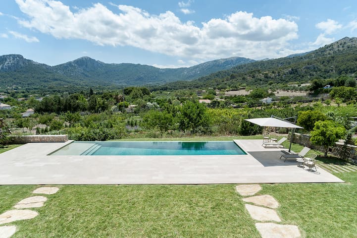 Can Morey gallery image 5