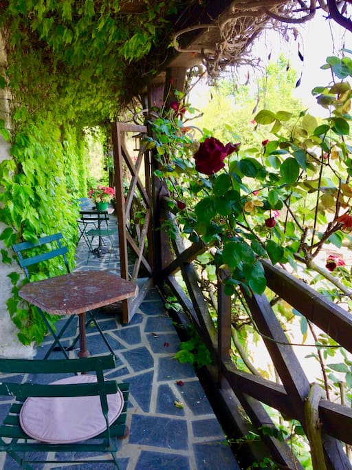 Pergola devant chambres Bleue et pourpre