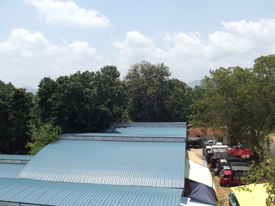 Mount View