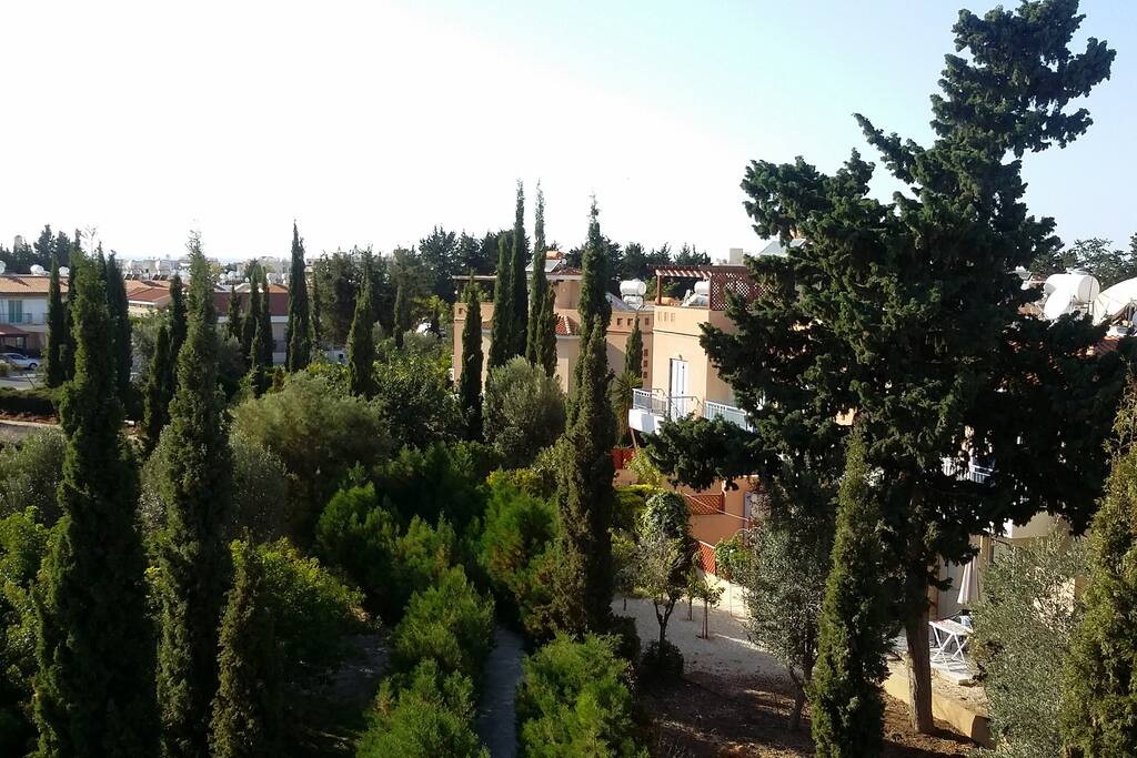 View from the windows