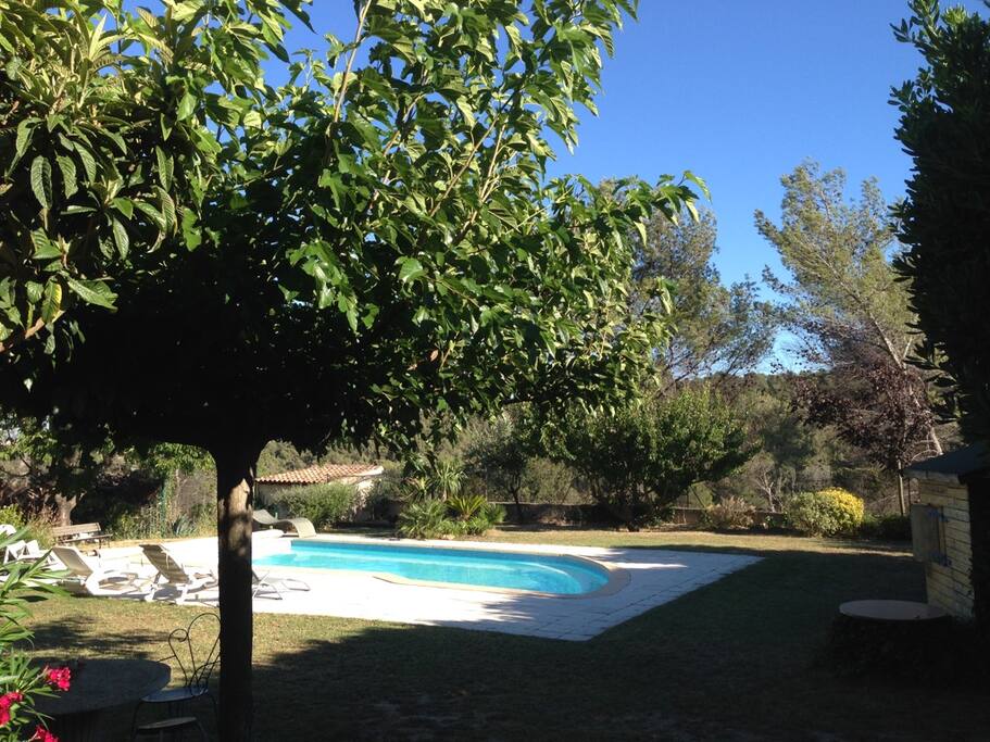 Piscine vue jardin