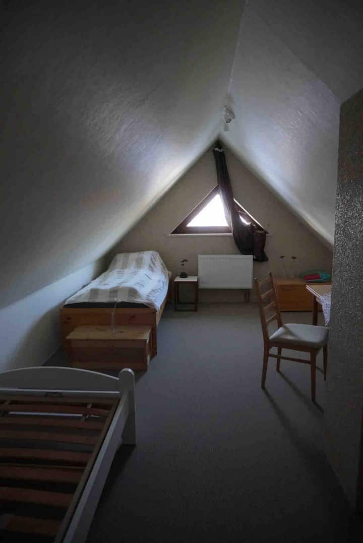 Sehemu nyingine ya kulala kwenye dari iliyobadilishwa