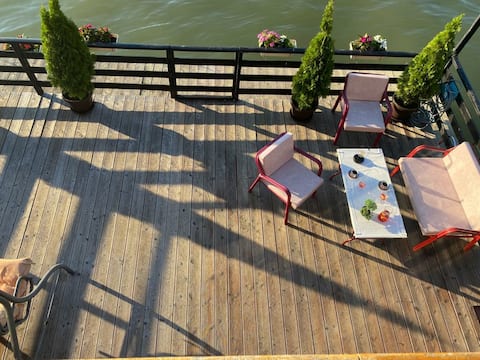 Top performing Airbnb: Chile river House in Чукарица