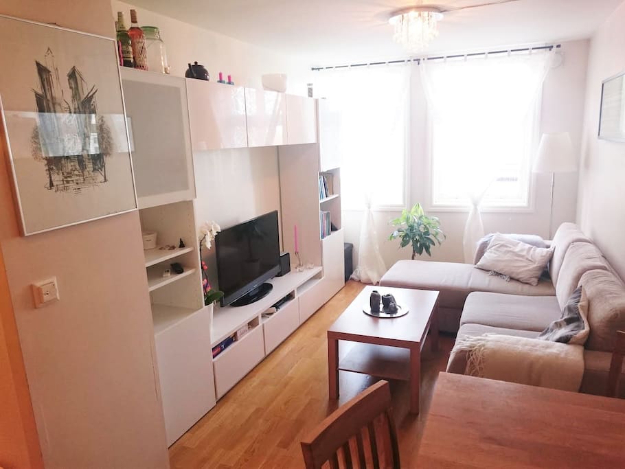The TV can be used for watching DvD's or streaming using chromecast. The apartment has a fast internet!