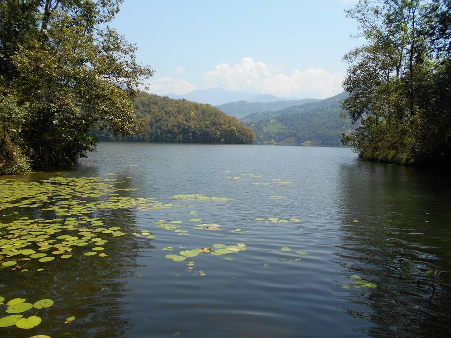 swim in privacy and peace