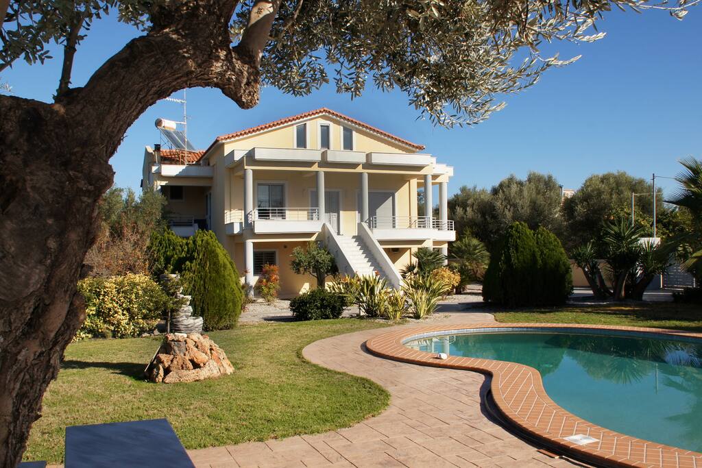Another front-view, from under the olive tree.