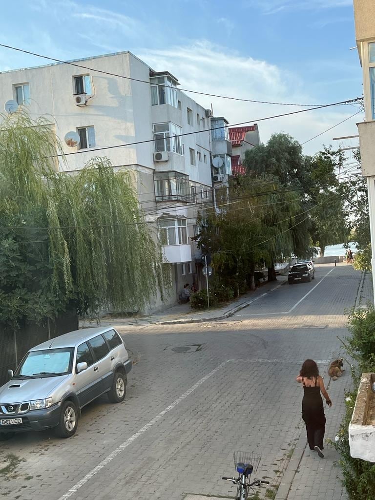 A view of a tree-lined street where a person walks a dog. The scene showcases a mix of residential buildings, with some balconies visible. A parked vehicle is positioned along the cobblestone road. Soft clouds drift across a blue sky.
