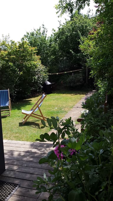 Sunny South facing garden