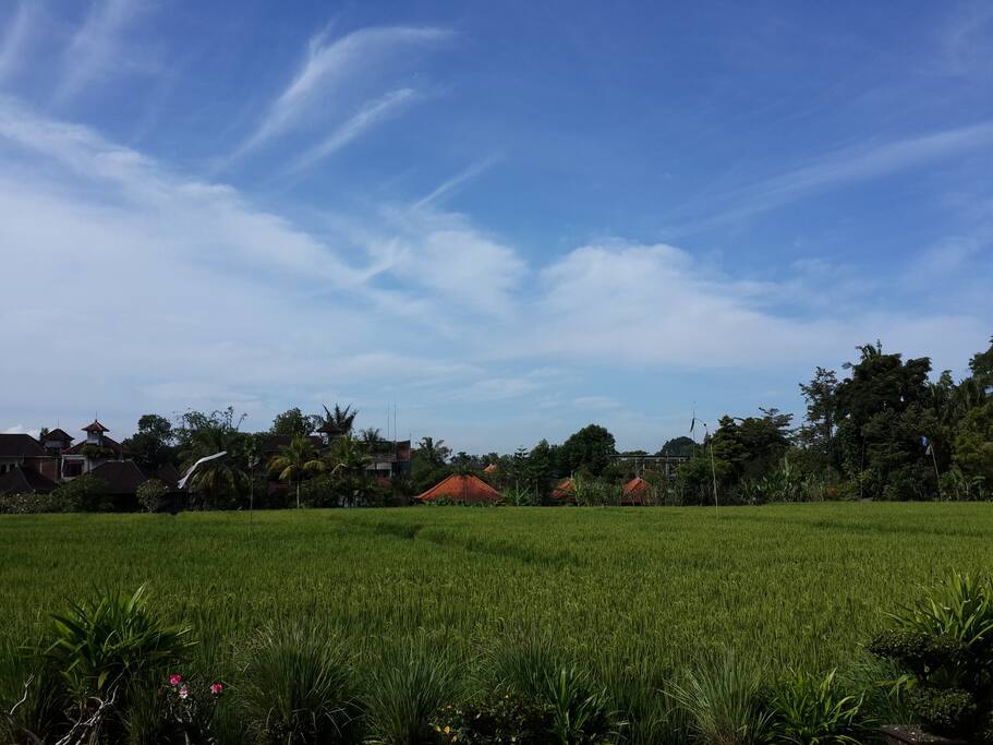 View Standard Double Room AC