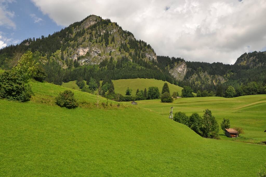 Der Blick aus ihrem Zimmer.