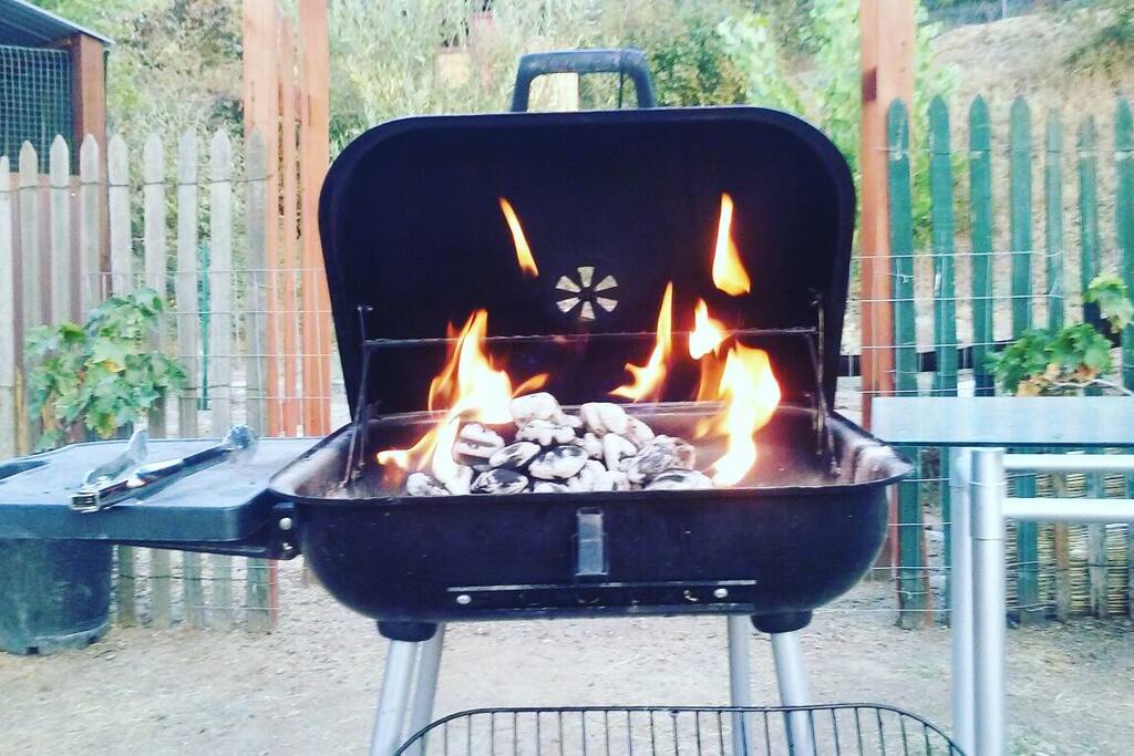 Free BBQ