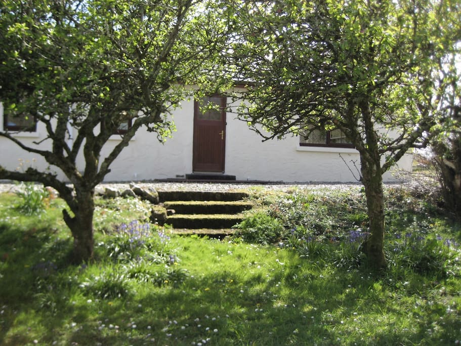 The orchard