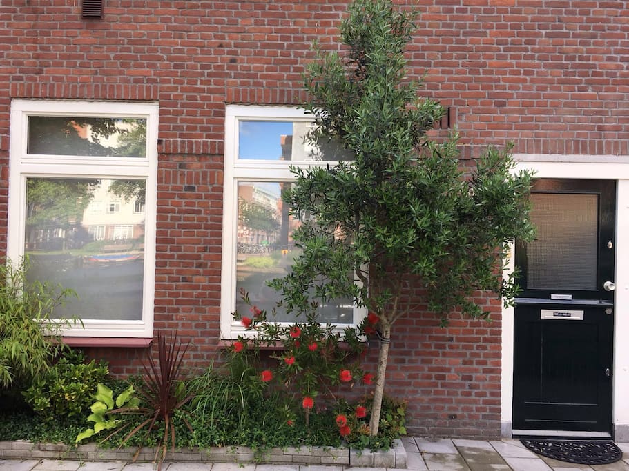 Front of the house