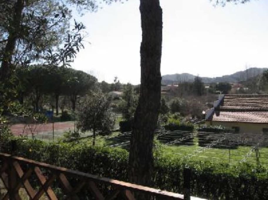 view from the garden