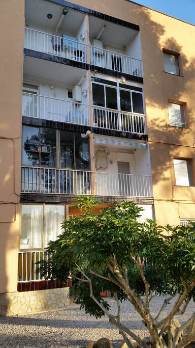 vue immeuble façade arrière