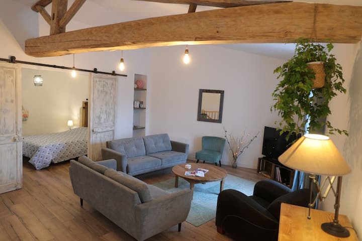 Gîte La Demoiselle - Coulon