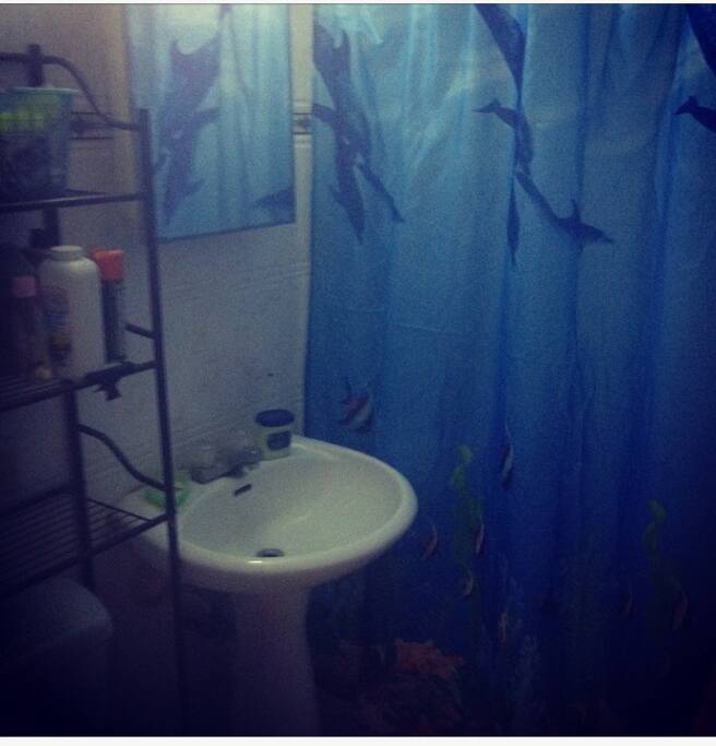 Bathroom and Hot water shower.