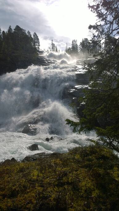 1/2 times gåtur fører deg til fossen.