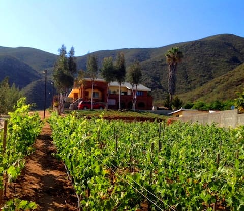 WINE COUNTRY VILLA VERANO