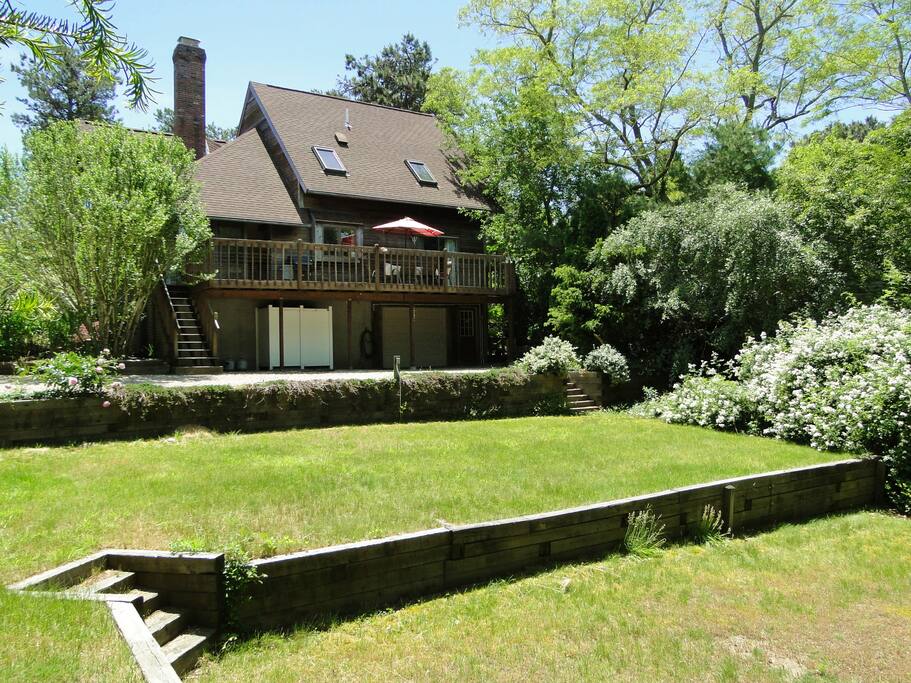 Yard showing deck and outdoor shower