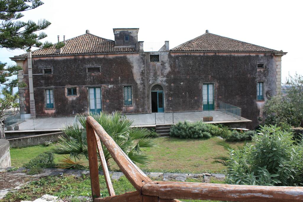 Back view