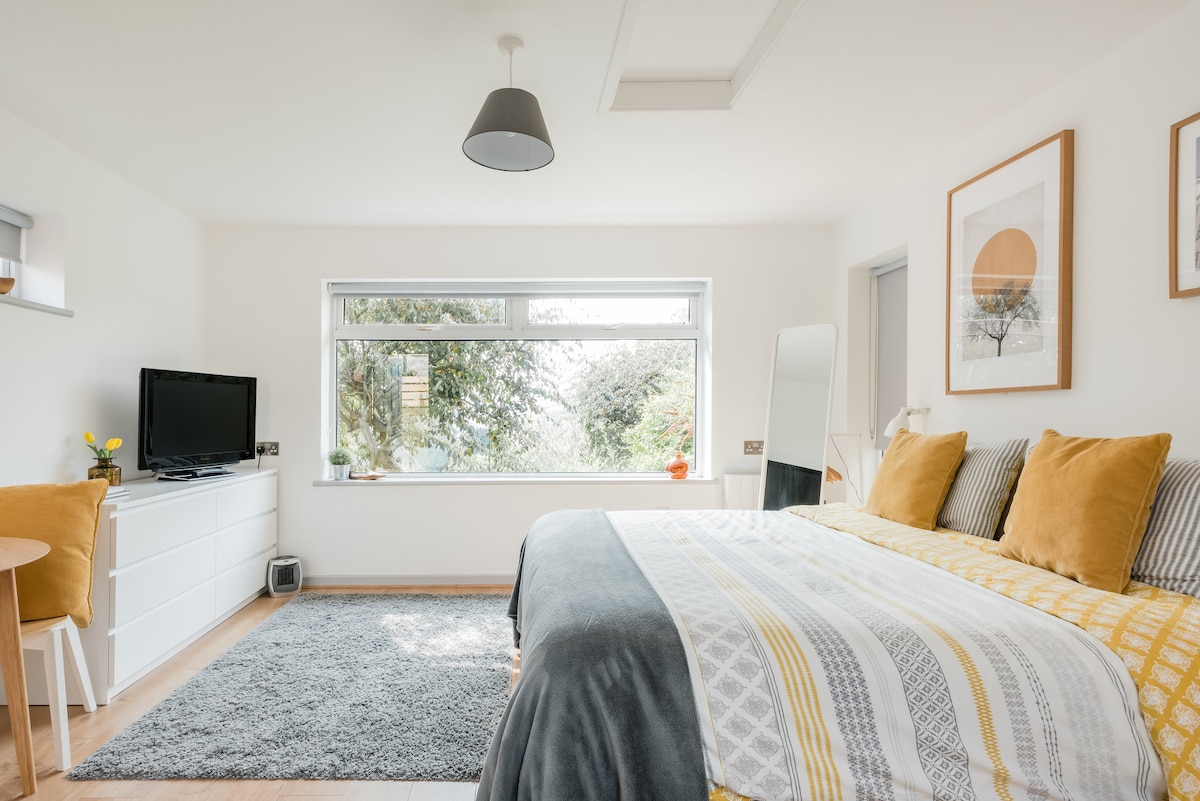 An open plan studio space features a spacious bed adorned with yellow and gray bedding. A large window allows natural light to fill the room, while a small TV and a round dining table with chairs are visible. A soft rug enhances the comfort of the space.
