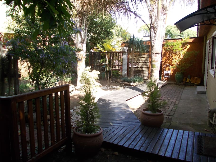 Back yard palms and boardwalk