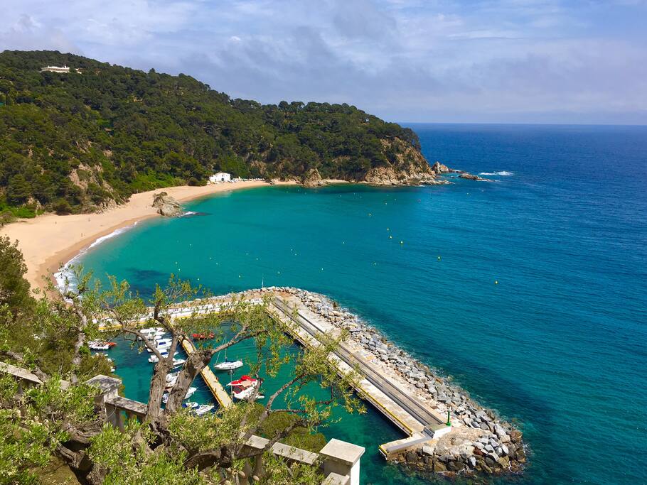 Beach Cala Canyelles (NOT view from the house)