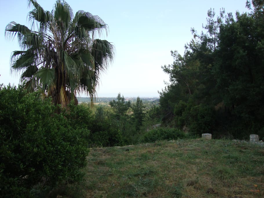 Landscape from veranda