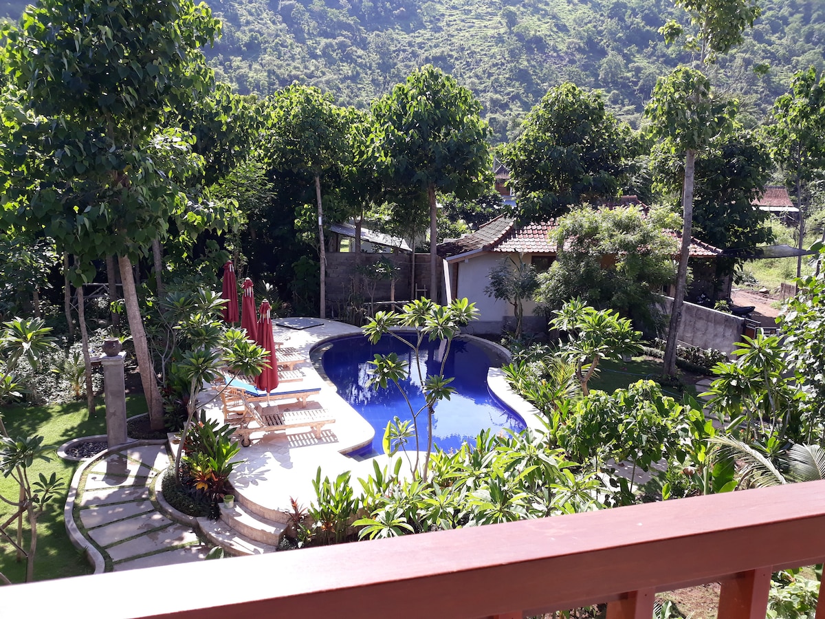A view from above captures a tranquil pool surrounded by lush greenery and tropical trees. Sun loungers are positioned conveniently by the water. The pathway winds gently through the garden, leading to the outdoor space, enhancing the serene ambiance of the property.