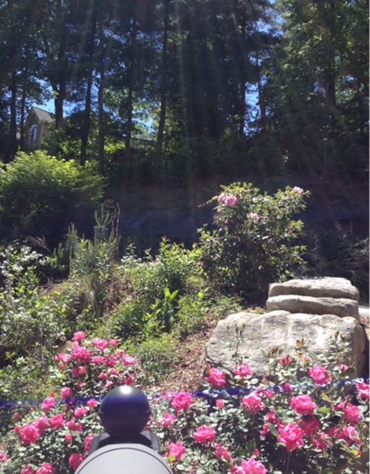 View from mailbox leading to property