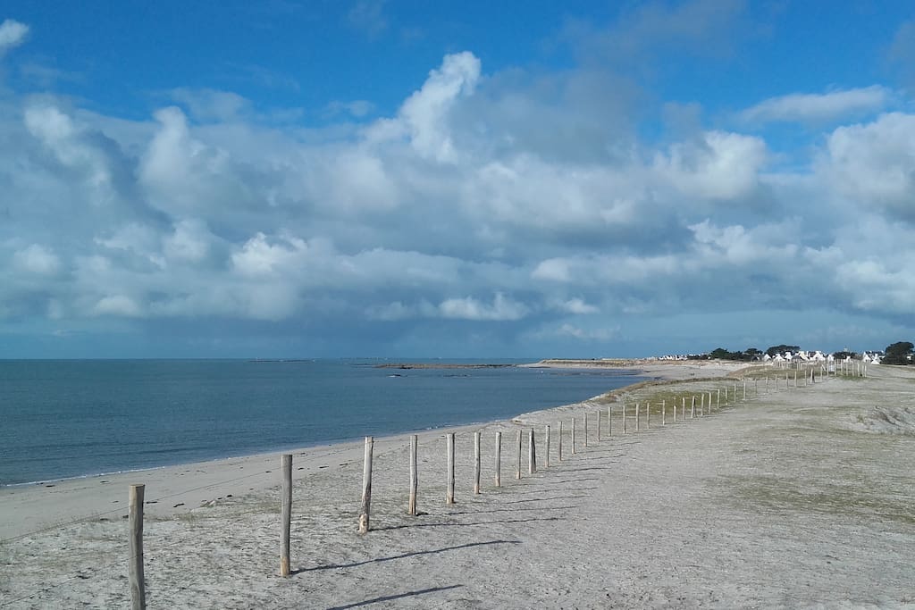 De Lesconil à Tréffiagat, vous pouvez aussi lézarder sur les 4 kms de sable fin des plages de Goudoul, Kersaux, le Reun, Squividan et Léhan.