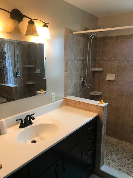 Bathroom vanity and left side shower head