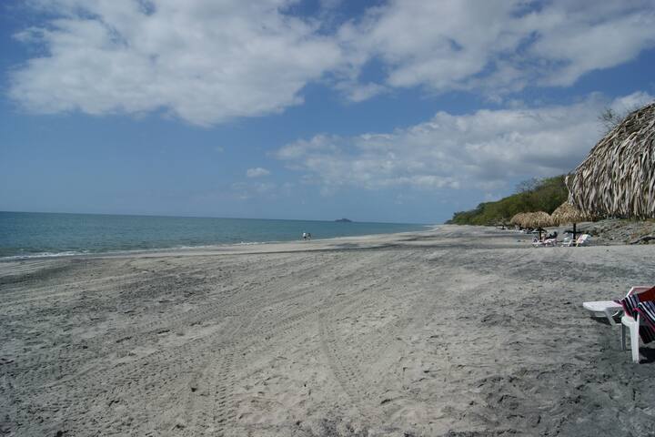 Download Panama city beach 4 schlafzimmer wohnung mieten Free